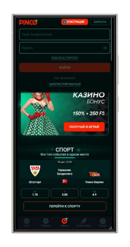 Авторизация в личном кабинете Пинко