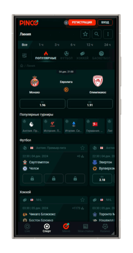 Бонусы и акции БК Pinco